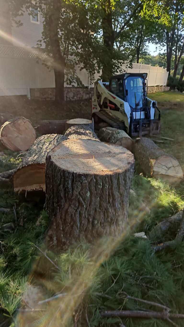 WhatsApp Image 2026-02-20 at 2.15