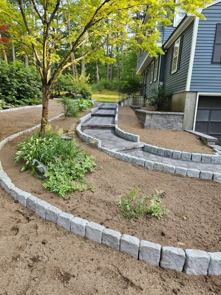 WhatsApp Image 2026-02-20 at 2.15