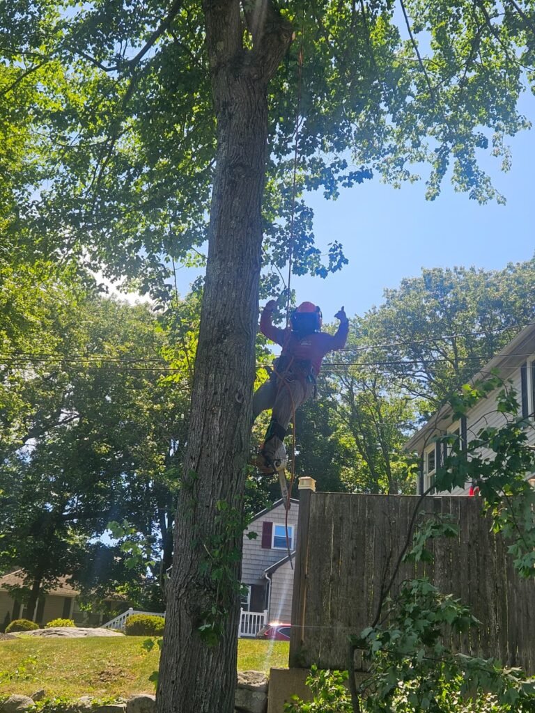 WhatsApp Image 2026-02-20 at 2.15