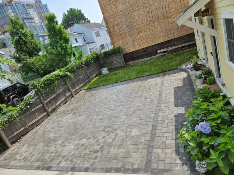 WhatsApp Image 2026-02-20 at 2.16