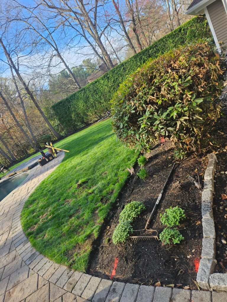 WhatsApp Image 2026-02-20 at 2.16