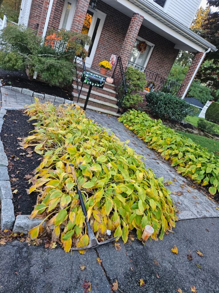 WhatsApp Image 2026-02-20 at 2.17