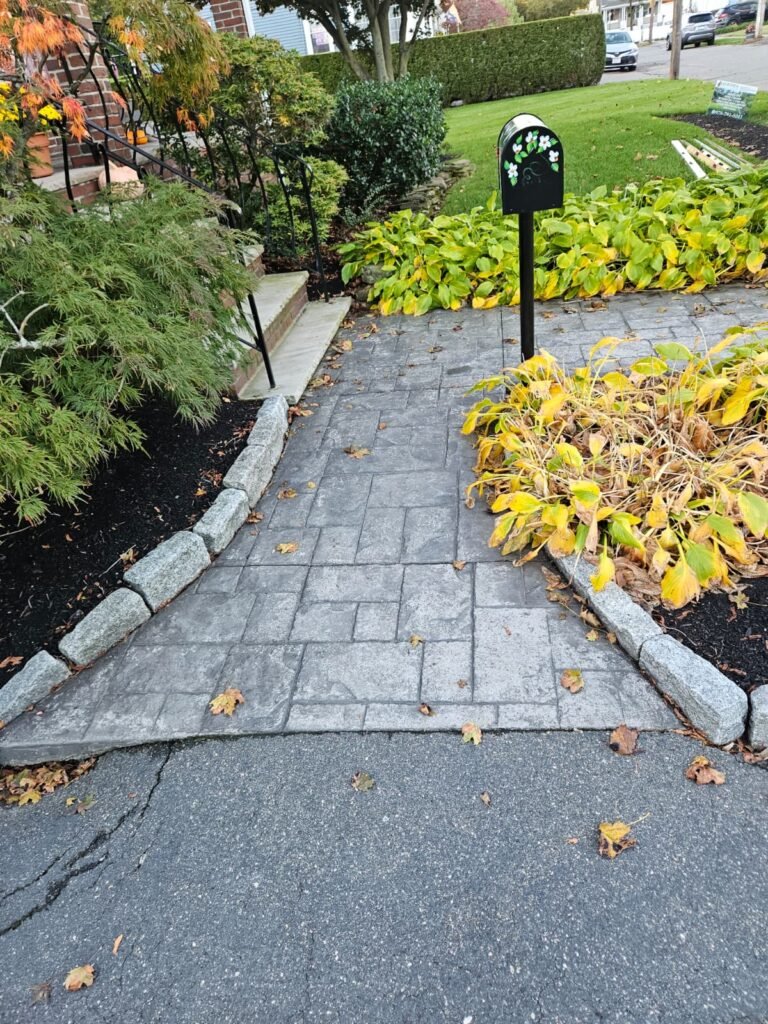 WhatsApp Image 2026-02-20 at 2.17