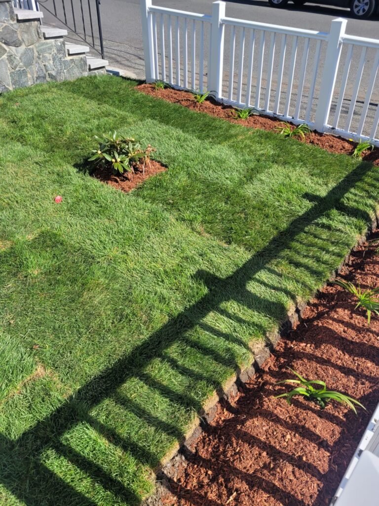 WhatsApp Image 2026-02-20 at 2.18