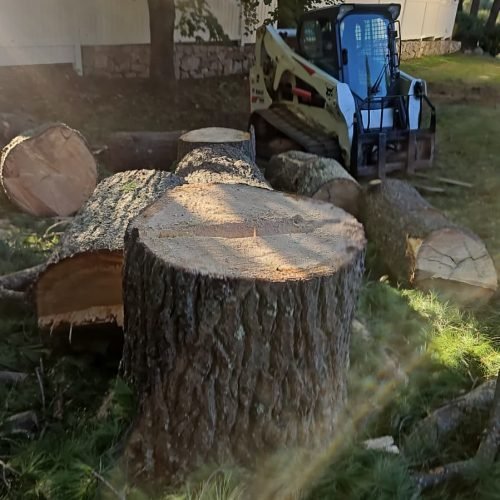 WhatsApp Image 2026-02-20 at 2.15.27 PM