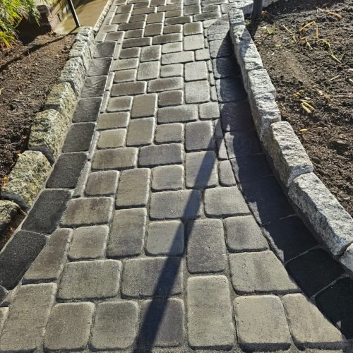 WhatsApp Image 2026-02-20 at 2.15.28 PM