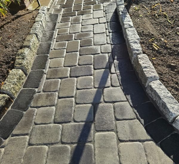 WhatsApp Image 2026-02-20 at 2.15.28 PM