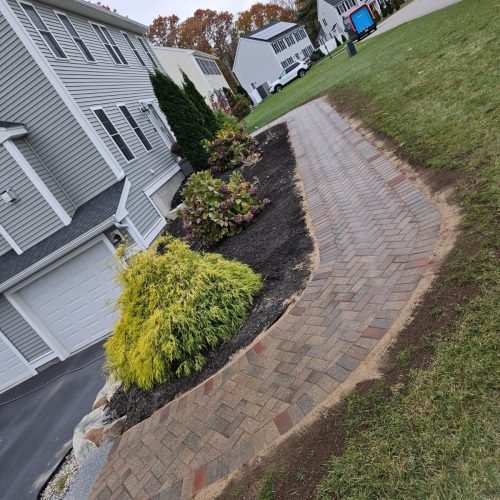 WhatsApp Image 2026-02-20 at 2.15.29 PM