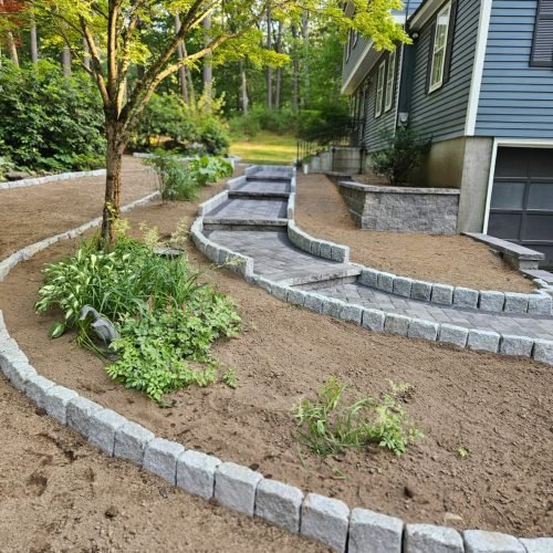 WhatsApp Image 2026-02-20 at 2.15.41 PM