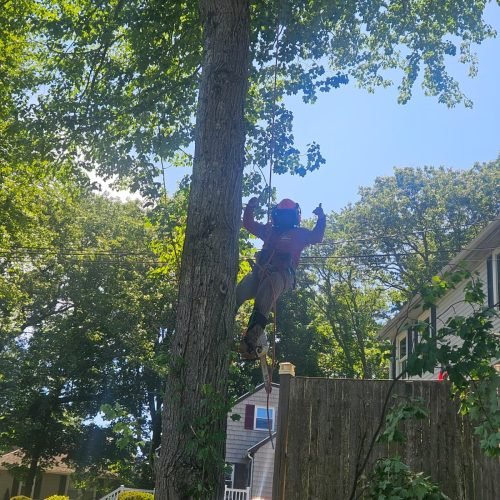 WhatsApp Image 2026-02-20 at 2.15.42 PM