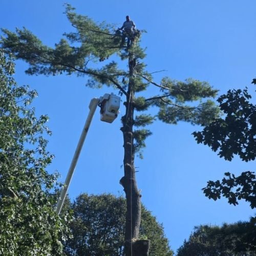 WhatsApp Image 2026-02-20 at 2.15.55 PM