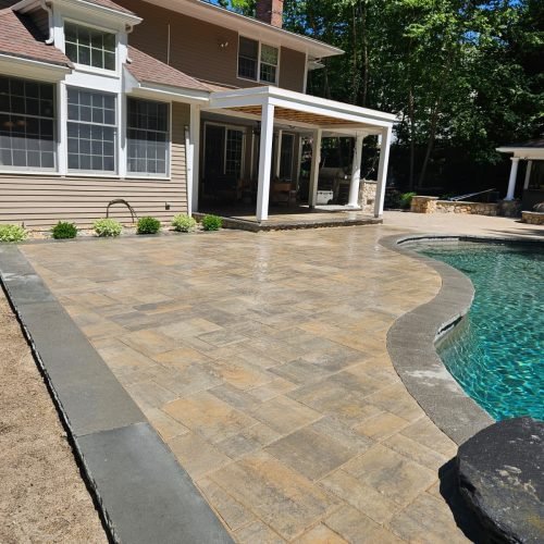 WhatsApp Image 2026-02-20 at 2.16.03 PM