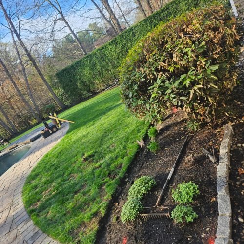 WhatsApp Image 2026-02-20 at 2.16.16 PM