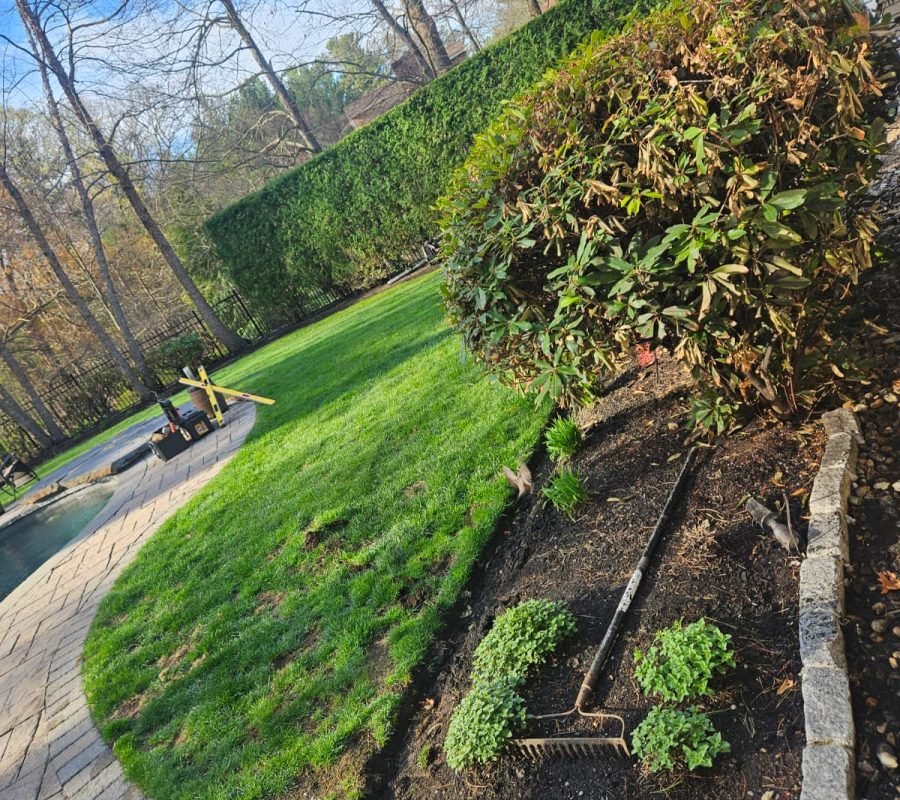 WhatsApp Image 2026-02-20 at 2.16.16 PM