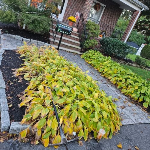 WhatsApp Image 2026-02-20 at 2.17.40 PM