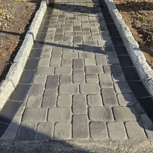 WhatsApp Image 2026-02-20 at 2.17.48 PM