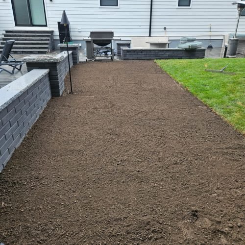 WhatsApp Image 2026-02-20 at 2.18.21 PM