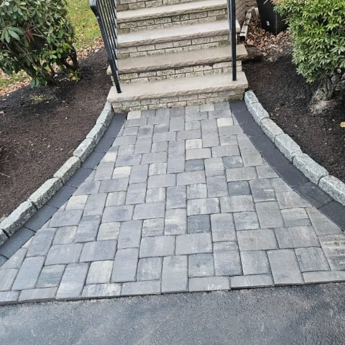 WhatsApp Image 2026-02-20 at 2.18.29 PM