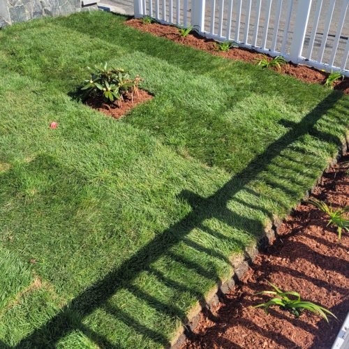 WhatsApp Image 2026-02-20 at 2.18.41 PM