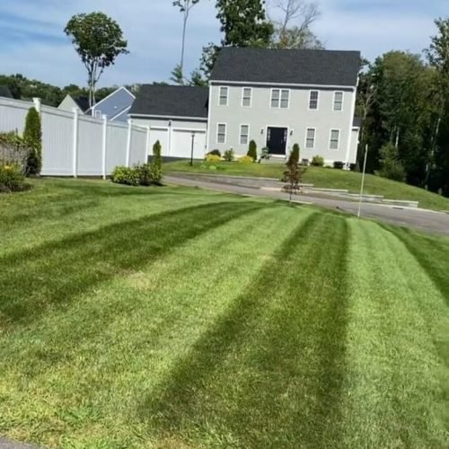 WhatsApp Image 2026-02-20 at 2.18.46 PM