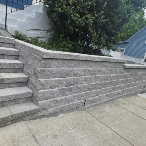 WhatsApp Image 2026-02-20 at 2.18.51 PM