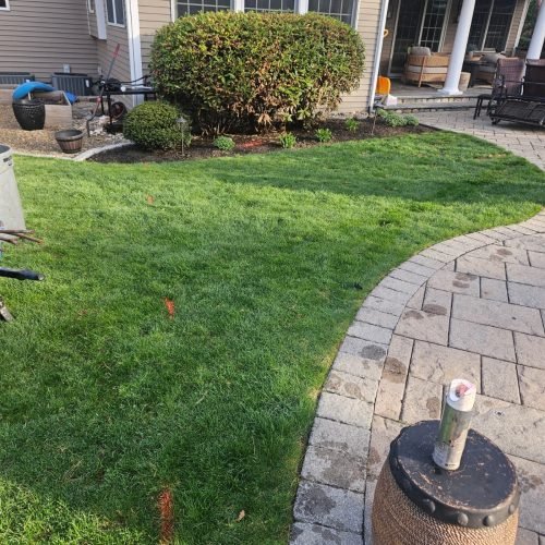 WhatsApp Image 2026-02-20 at 2.19.55 PM